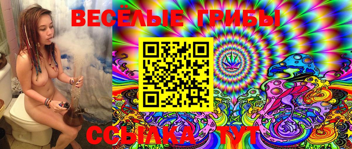 купить  сайты  Галлюциногенные грибы Cubensis  Вход с VPN  Амурск 